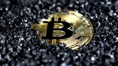 Exploring the Risks and Rewards of Cryptocurrency Investment